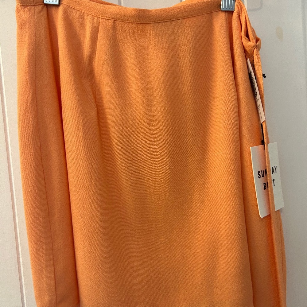 ARITZIA SKIRT